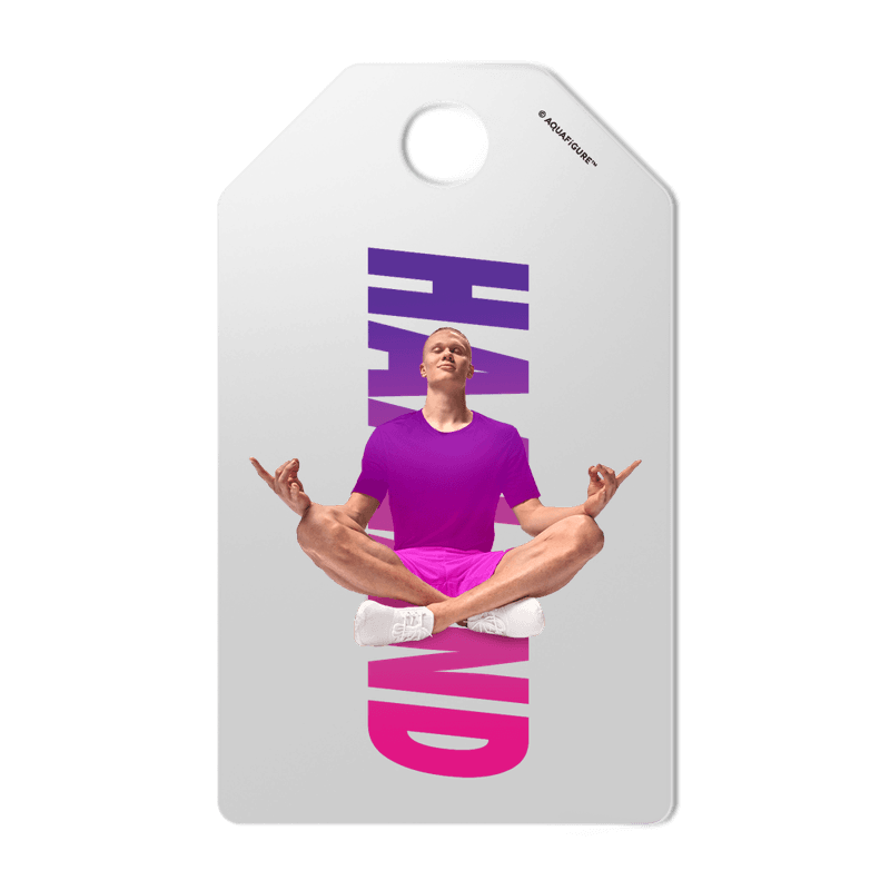 Erling Haaland     Aquafigure Flaske inkludert 4 Haaland Tags   